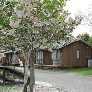 219 On Johns Motel & Holiday Park